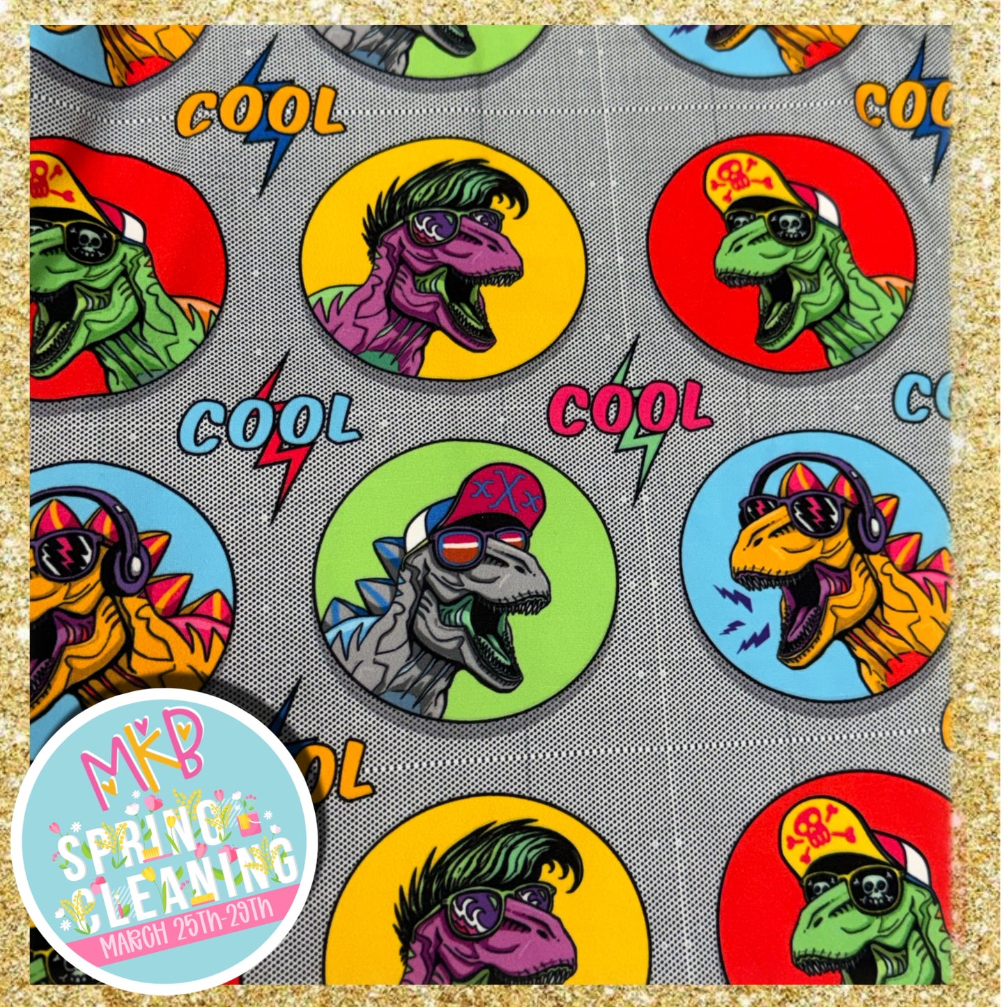 Cool Dino SpringCleaning3.25