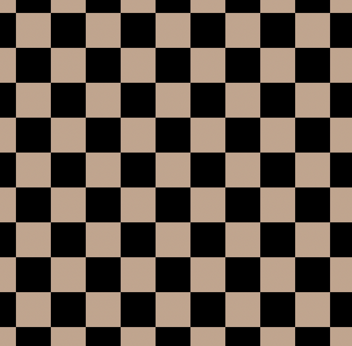 Black/Brown Check FINNParty1.3