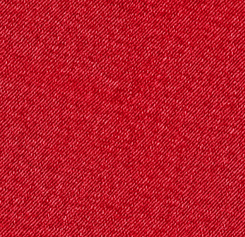 SS Red Denim PerfectlyPatterned10.9