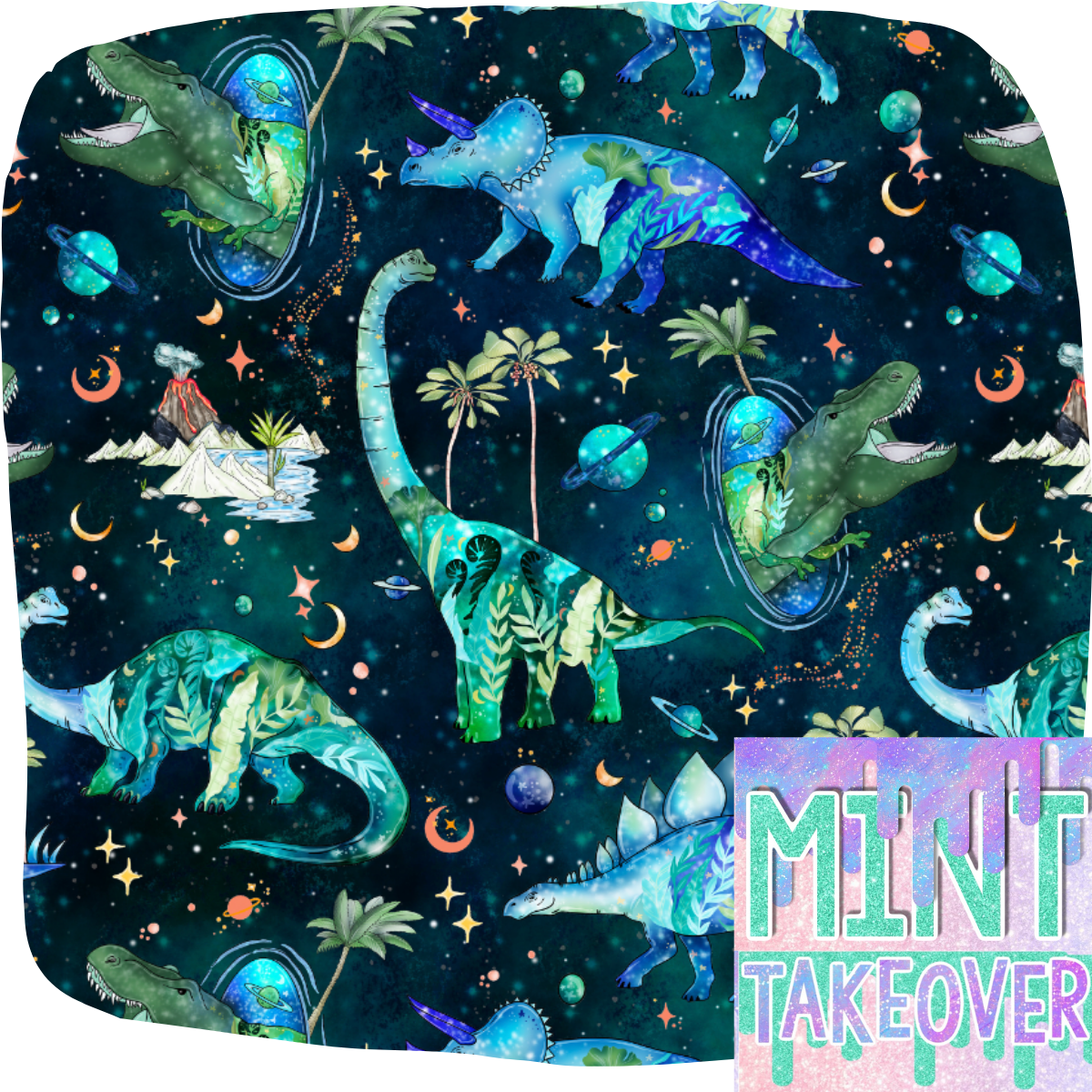 05 Space Dinos RachBdayBash10.25