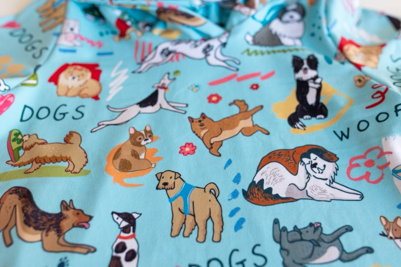 Dogs Gone Wild FebHYS2.20