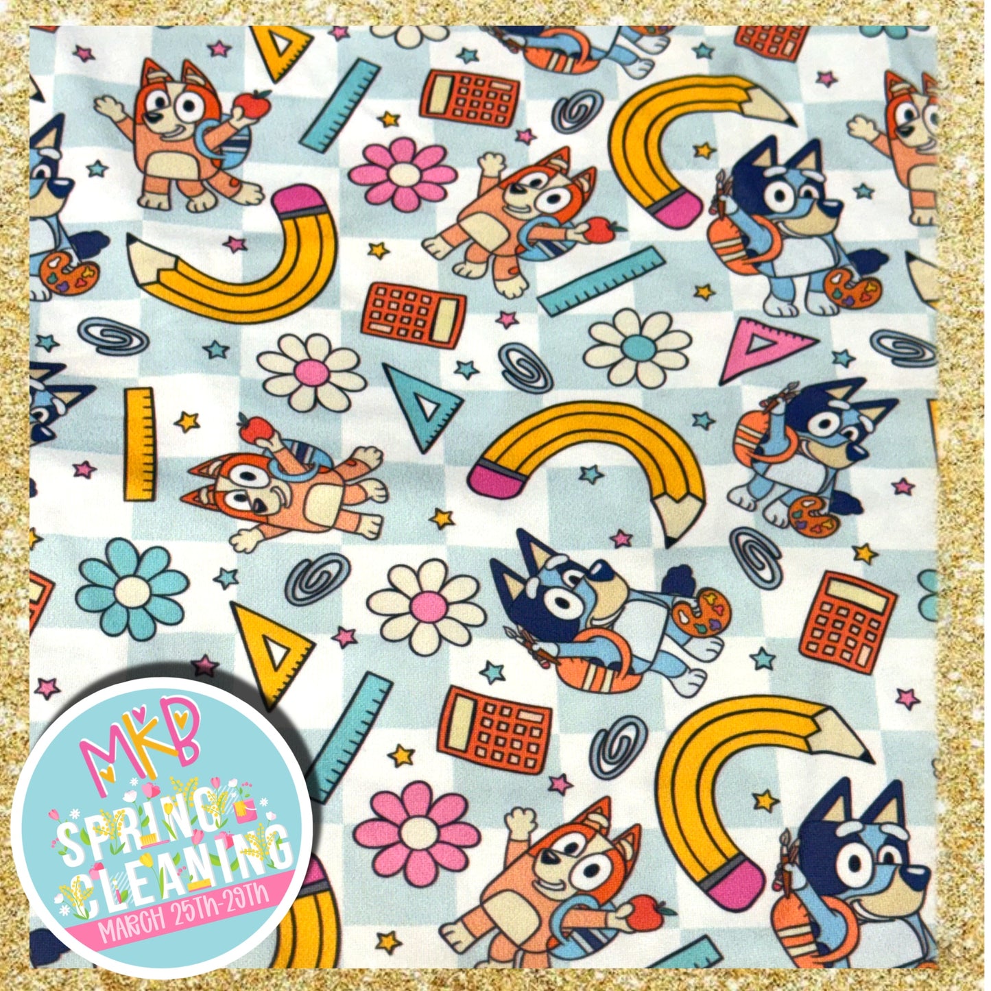 Bluey B2S SpringCleaning3.25