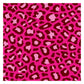01 Pink Leopard RachBdayBash10.25
