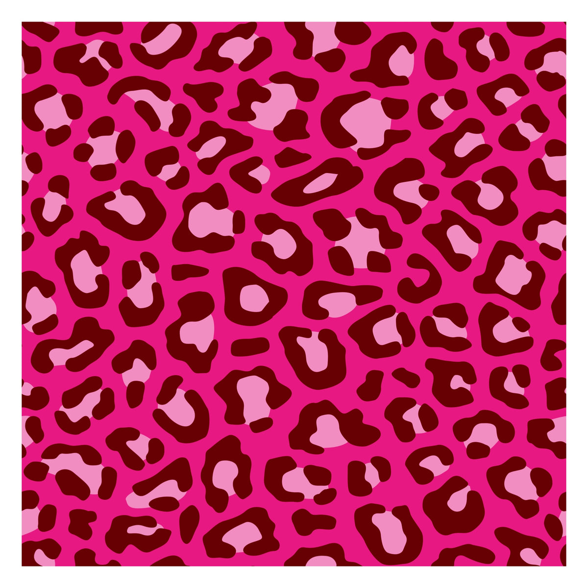 01 Pink Leopard RachBdayBash10.25