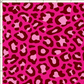 01 Pink Leopard RachBdayBash10.25