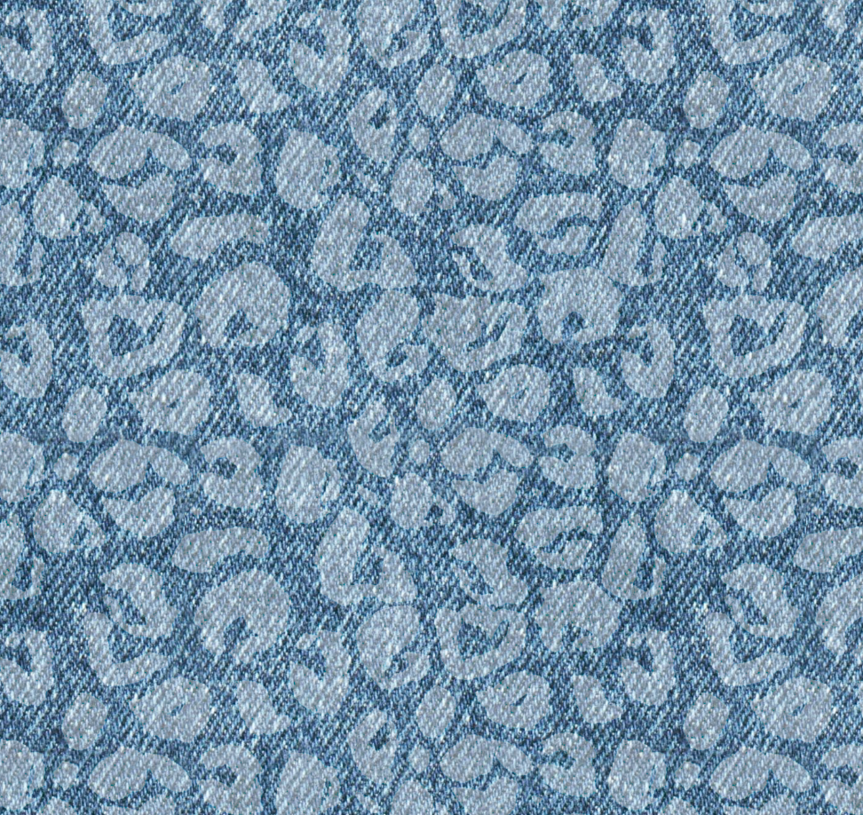 01 Leopard Denim RachBdayBash10.25