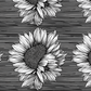 Sunflower Stripe CPFUN9.16
