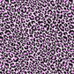 Pinky Purple Leopard MFT10.22